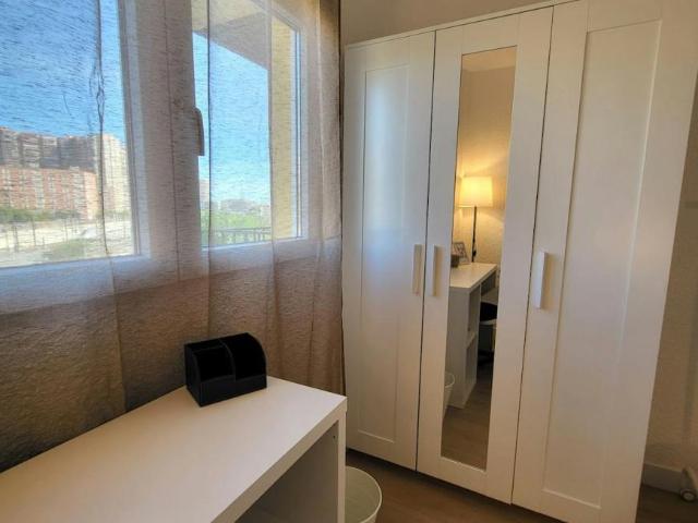 Alquiler 1 Dormitorio Shared Living/Roommate Alicante Alicante DLS102308689