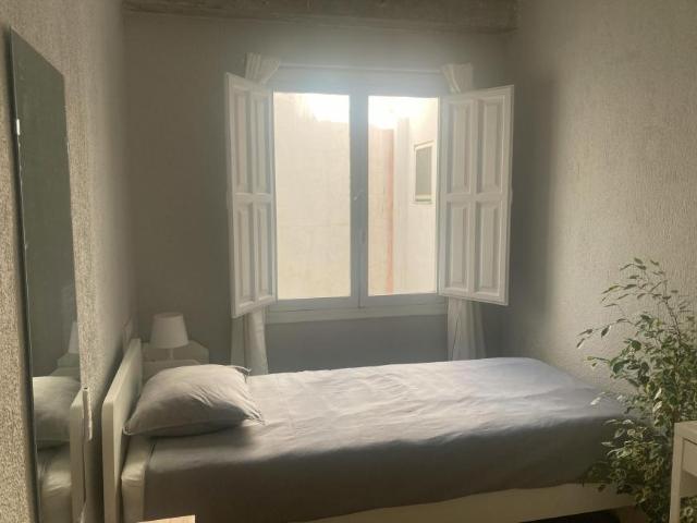 Alquiler 1 Dormitorio Shared Living/Roommate Alicante Alicante DLS102662050