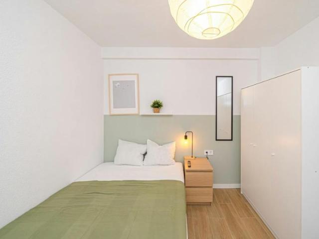 Alquiler 1 Dormitorio Shared Living/Roommate Alicante Alicante DLS102753659