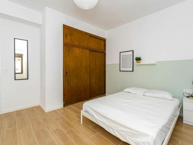 Alquiler 1 Dormitorio Shared Living/Roommate Alicante Alicante DLS102753616