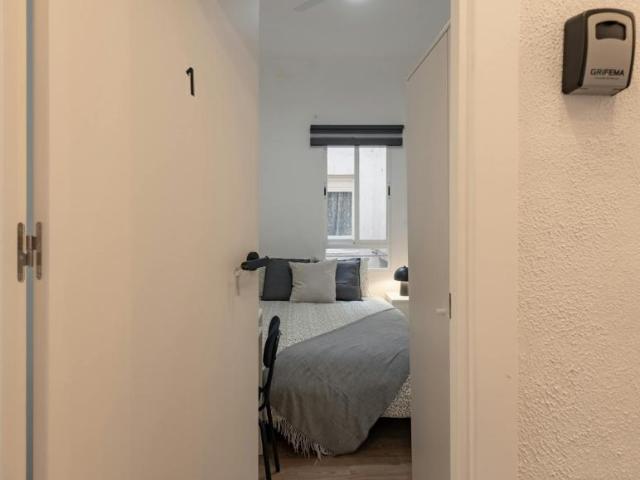 Alquiler 1 Dormitorio Shared Living/Roommate Alicante Alicante DLS102847693