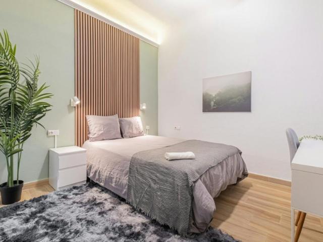 Alquiler 1 Dormitorio Shared Living/Roommate Alicante Alicante DLS102847758