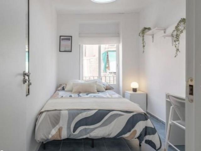 Alquiler 1 Dormitorio Shared Living/Roommate Alicante Alicante DLS102849947