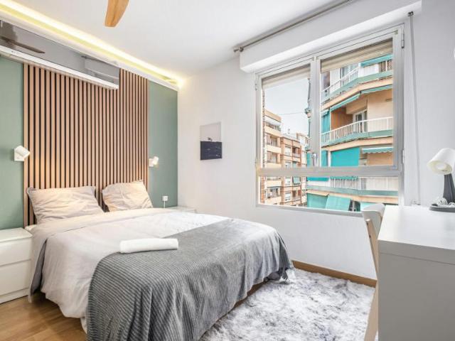 Alquiler 1 Dormitorio Shared Living/Roommate Alicante Alicante DLS102813347