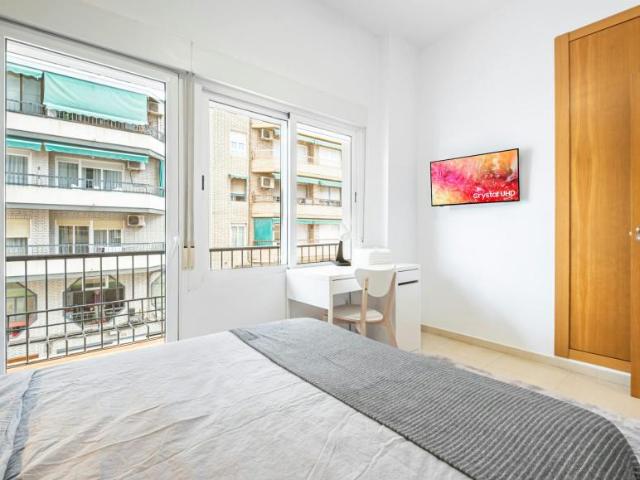 Alquiler 1 Dormitorio Shared Living/Roommate Alicante Alicante DLS102813368