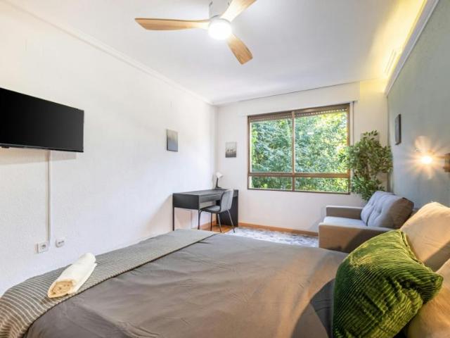 Alquiler 1 Dormitorio Shared Living/Roommate Alicante Alicante DLS102813325