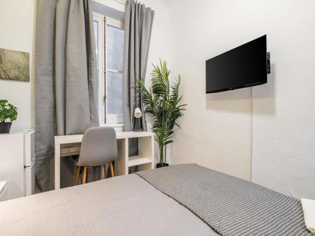 Alquiler 1 Dormitorio Shared Living/Roommate Alicante Alicante DLS102813329