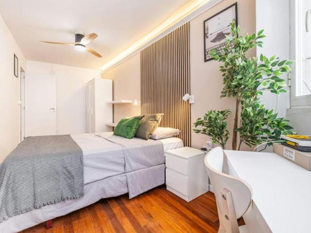 Alquiler 1 Dormitorio Shared Living/Roommate Alicante Alicante DLS102813337