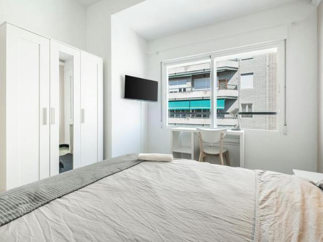 Alquiler 1 Dormitorio Shared Living/Roommate Alicante Alicante DLS102813450
