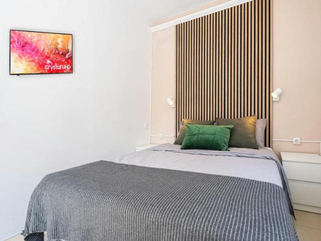 Alquiler 1 Dormitorio Shared Living/Roommate Alicante Alicante DLS102813456