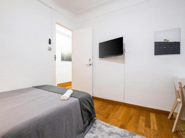 Alquiler 1 Dormitorio Shared Living/Roommate Alicante Alicante DLS102813464