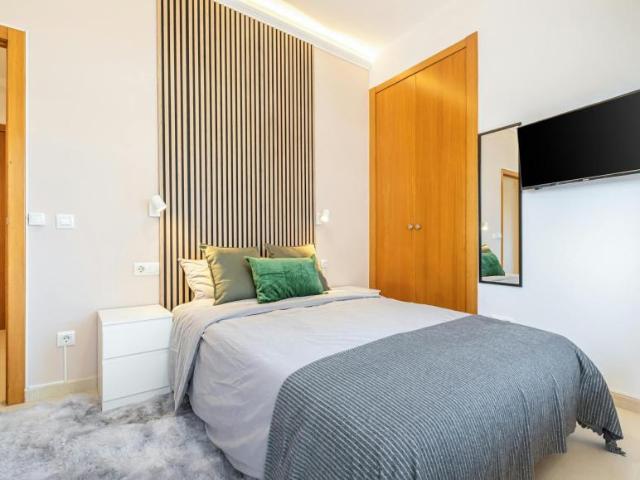 Alquiler 1 Dormitorio Shared Living/Roommate Alicante Alicante DLS102813494