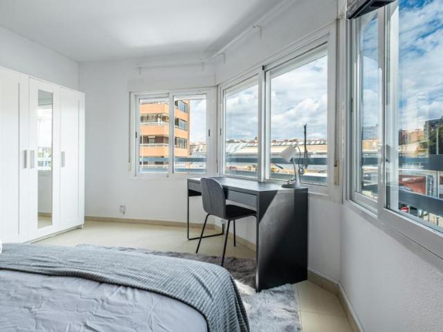 Alquiler 1 Dormitorio Shared Living/Roommate Alicante Alicante DLS102813423