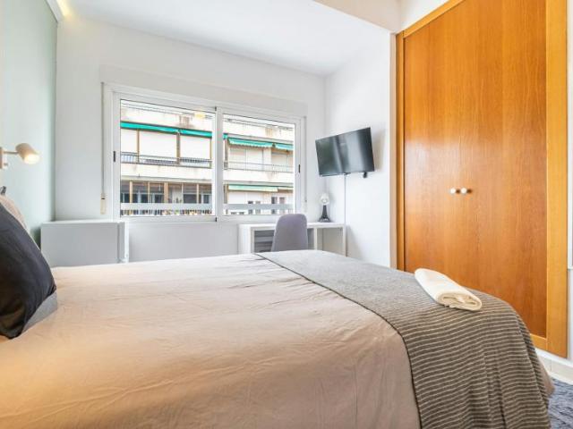 Alquiler 1 Dormitorio Shared Living/Roommate Alicante Alicante DLS102813421