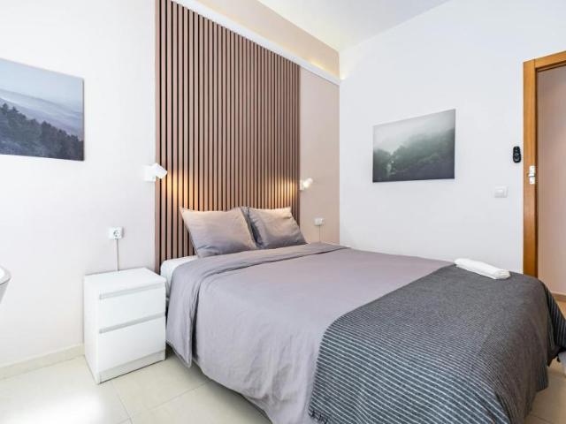 Alquiler 1 Dormitorio Shared Living/Roommate Alicante Alicante DLS102813504