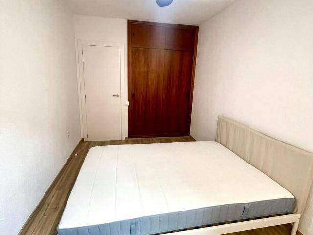 Alquiler 1 Dormitorio Shared Living/Roommate Alicante Alicante DLS82554377