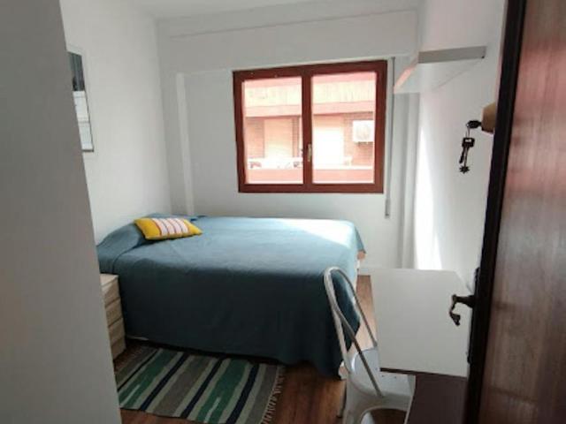 Alquiler 1 Dormitorio Shared Living/Roommate Alicante Alicante DLS94090583