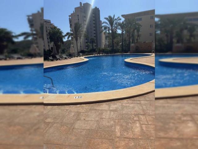 Alquiler 1 Dormitorio Shared Living/Roommate Alicante Alicante DLS94952269