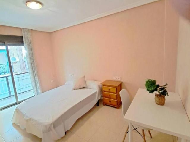 Alquiler 1 Dormitorio Shared Living/Roommate Alicante Alicante DLS94964030