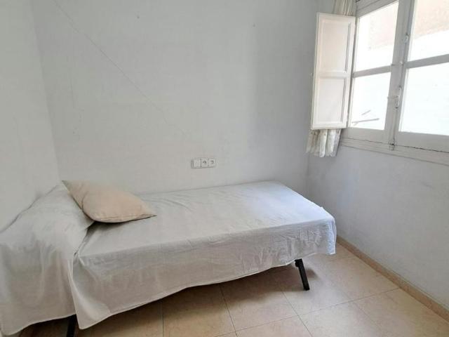 Alquiler 1 Dormitorio Shared Living/Roommate Alicante Alicante DLS95418493
