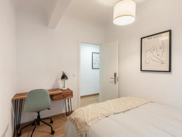 Alquiler 1 Dormitorio Shared Living/Roommate Alicante Alicante DS104068183
