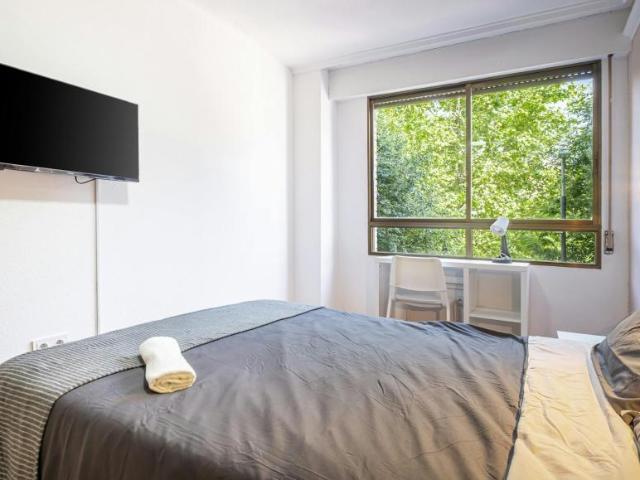 Alquiler 1 Dormitorio Shared Living/Roommate Alicante Alicante DS104068523