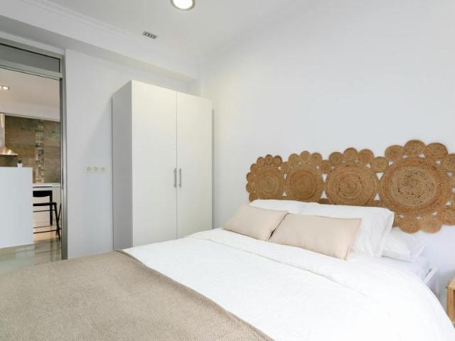 Alquiler 1 Dormitorio Shared Living/Roommate Alicante Alicante DS104069107