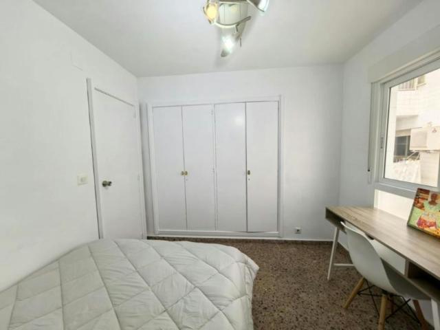 Alquiler 1 Dormitorio Shared Living/Roommate Alicante Alicante DS104435588