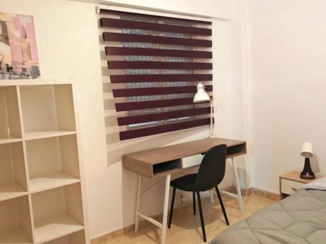 Alquiler 1 Dormitorio Shared Living/Roommate Alicante Alicante DS104435590