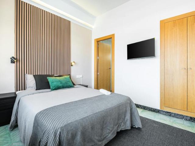 Alquiler 1 Dormitorio Shared Living/Roommate Alicante Alicante DS104471890