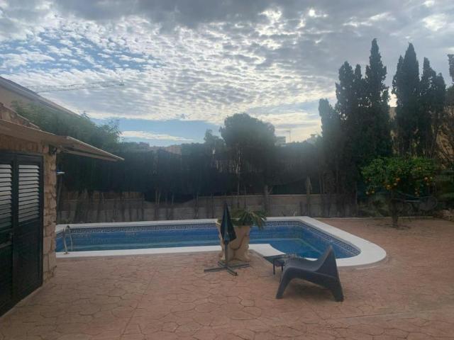 Alquiler 1 Dormitorio Shared Living/Roommate Alicante Alicante DS104471949