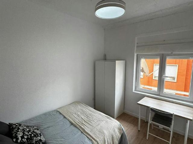 Alquiler 1 Dormitorio Shared Living/Roommate Alicante Alicante DS104471982