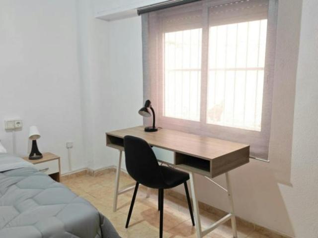 Alquiler 1 Dormitorio Shared Living/Roommate Alicante Alicante DS104599316