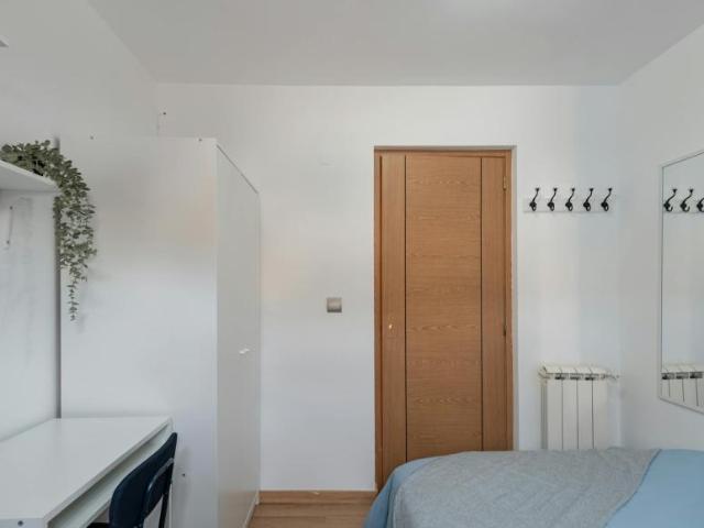 Alquiler 1 Dormitorio Shared Living/Roommate Alicante Alicante DS104599369