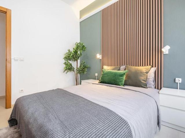 Alquiler 1 Dormitorio Shared Living/Roommate Alicante Alicante DS104754347