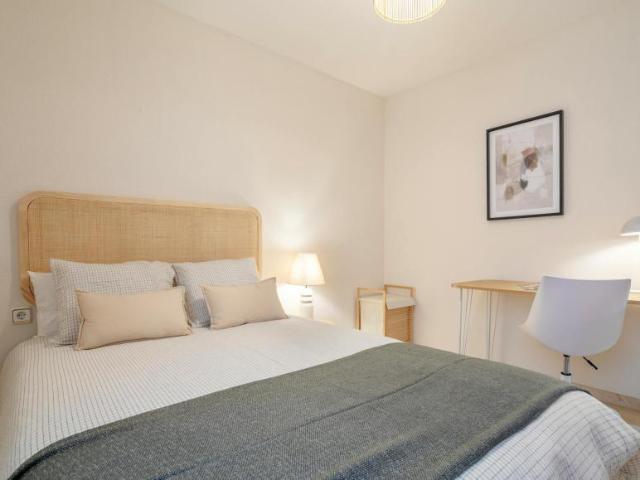 Alquiler 1 Dormitorio Shared Living/Roommate Alicante Alicante DS104754691