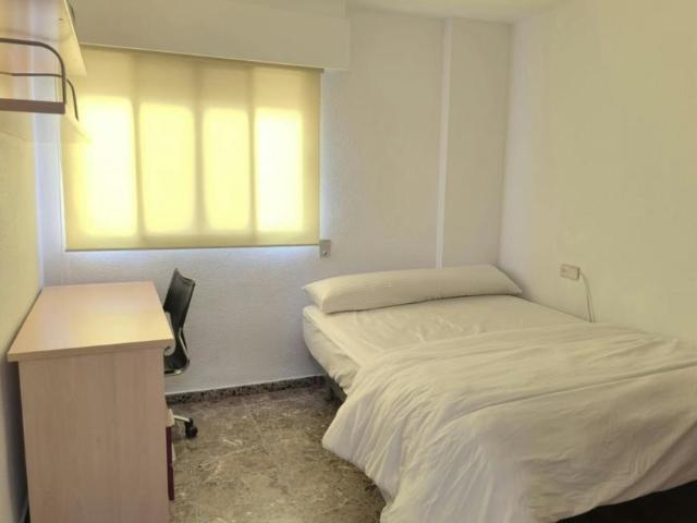 Alquiler 1 Dormitorio Shared Living/Roommate Alicante Alicante DS104782984