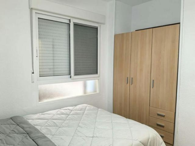 Alquiler 1 Dormitorio Shared Living/Roommate Alicante Alicante DS104782985