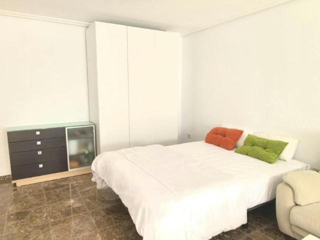 Alquiler 1 Dormitorio Shared Living/Roommate Alicante Alicante DS104782986