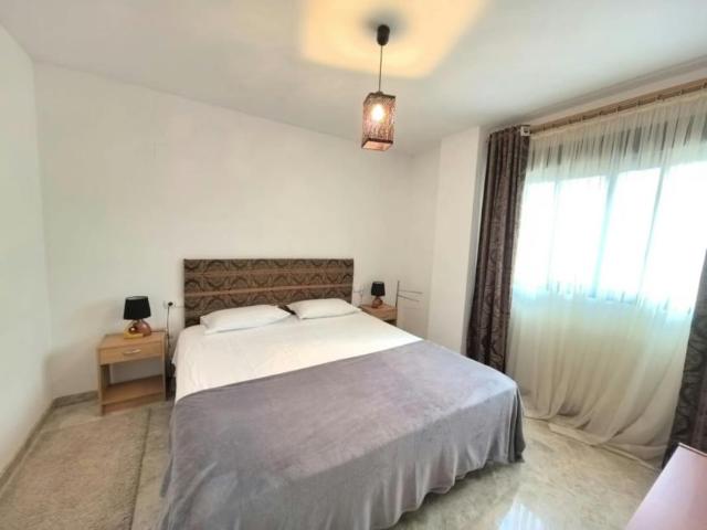 Alquiler 1 Dormitorio Shared Living/Roommate Alicante Alicante DS104782988