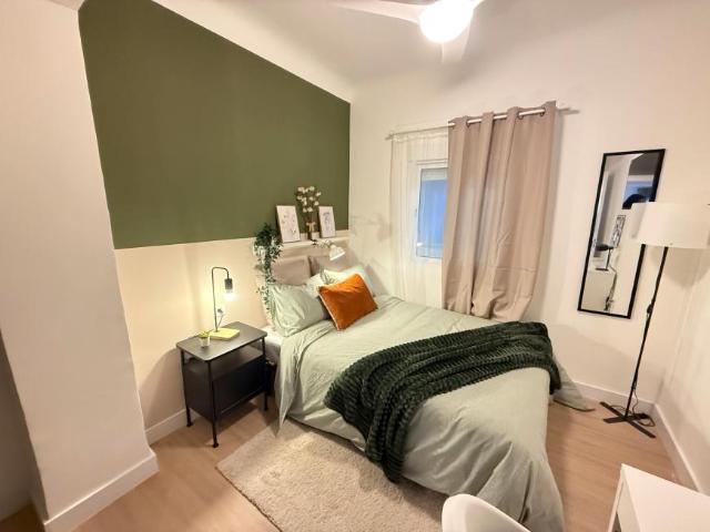 Alquiler 1 Dormitorio Shared Living/Roommate Alicante Alicante DS104783051