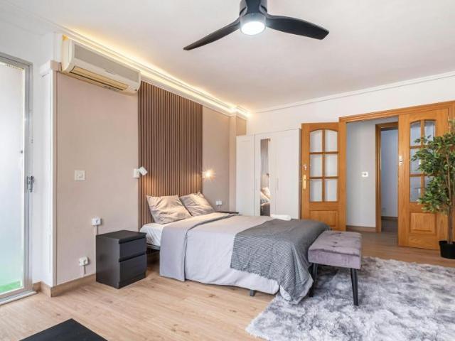 Alquiler 1 Dormitorio Shared Living/Roommate Alicante Alicante DS104783068