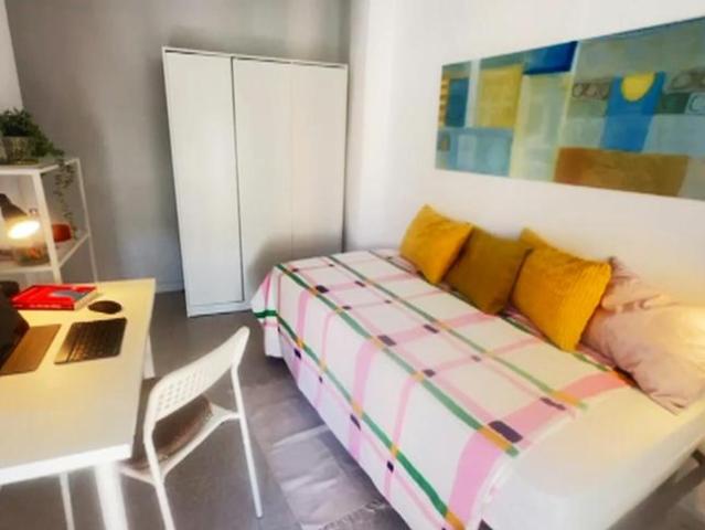 Alquiler 1 Dormitorio Shared Living/Roommate Alicante Alicante DS104783198