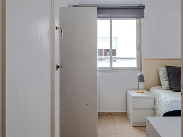 Alquiler 1 Dormitorio Shared Living/Roommate Alicante Alicante DS104783379