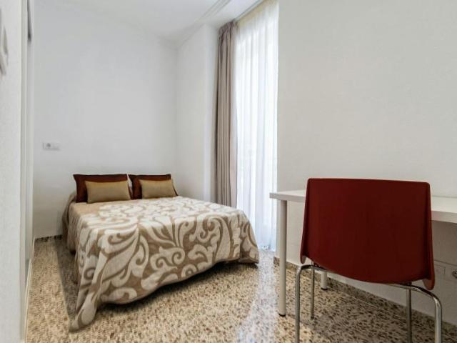 Alquiler 1 Dormitorio Shared Living/Roommate Alicante Alicante DS100012825
