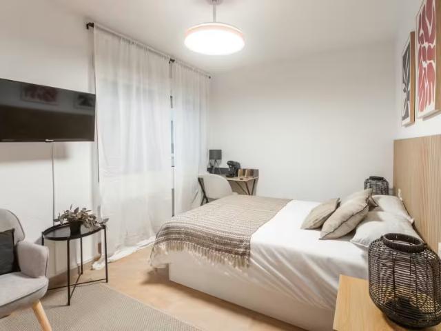 Alquiler 1 Dormitorio Shared Living/Roommate Alicante Alicante DS100254194
