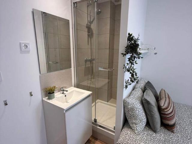 Alquiler 1 Dormitorio Shared Living/Roommate Alicante Alicante DS100259890