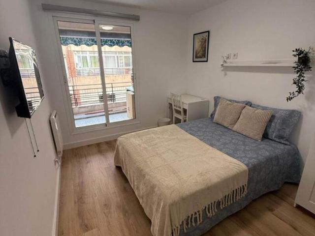 Alquiler 1 Dormitorio Shared Living/Roommate Alicante Alicante DS100259903