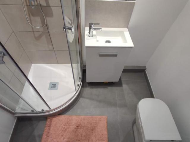 Alquiler 1 Dormitorio Shared Living/Roommate Alicante Alicante DS100259927