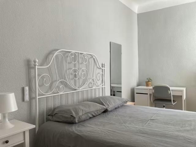 Alquiler 1 Dormitorio Shared Living/Roommate Alicante Alicante DS100357588